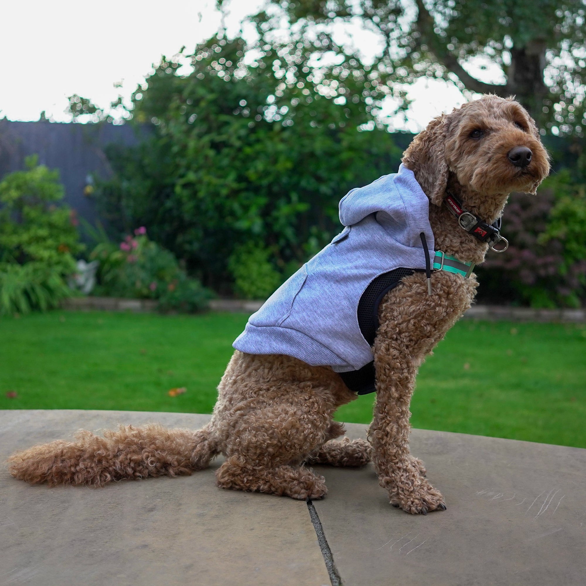 K9 Wear® Starter Kit - Grey Hoodie