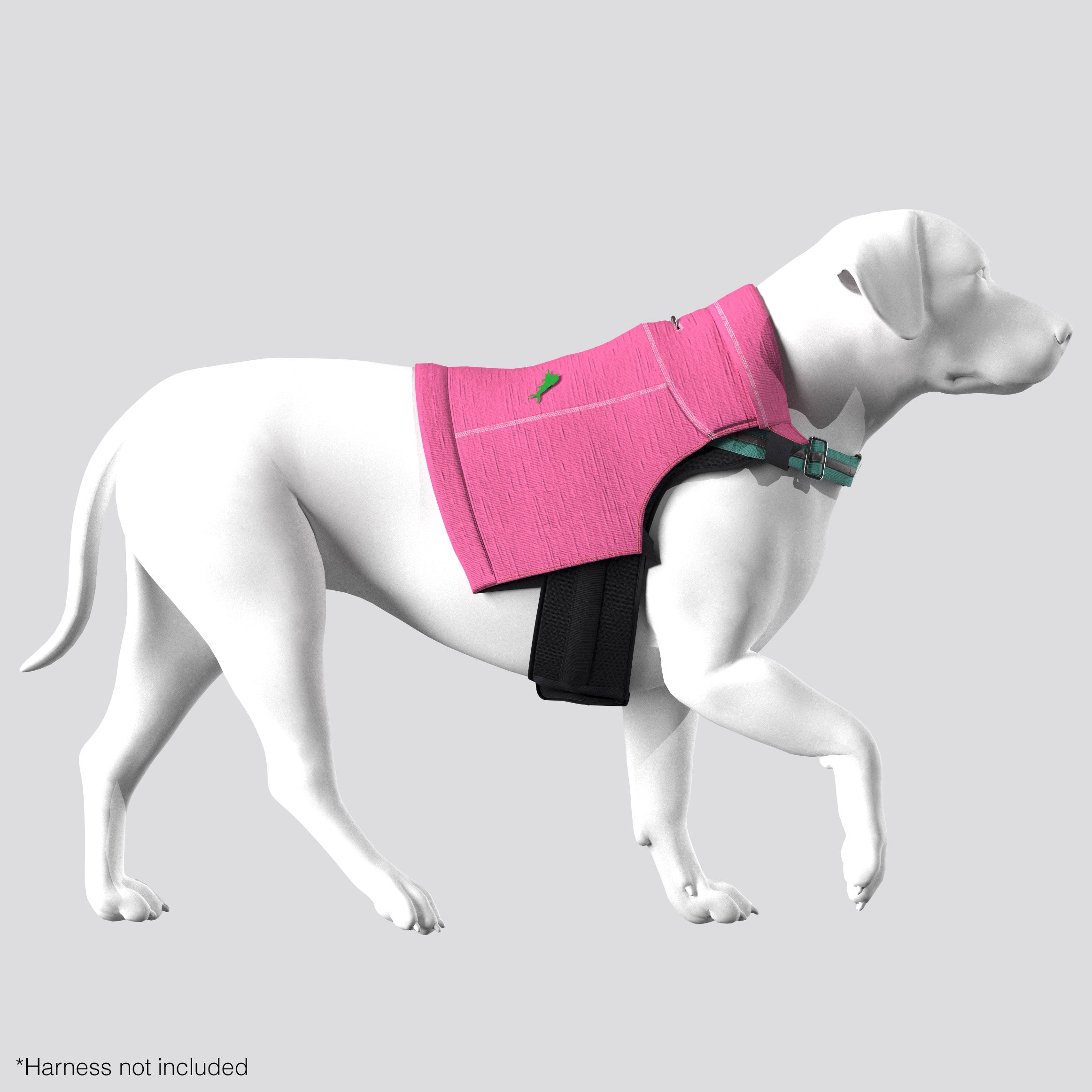 Customize Your Product