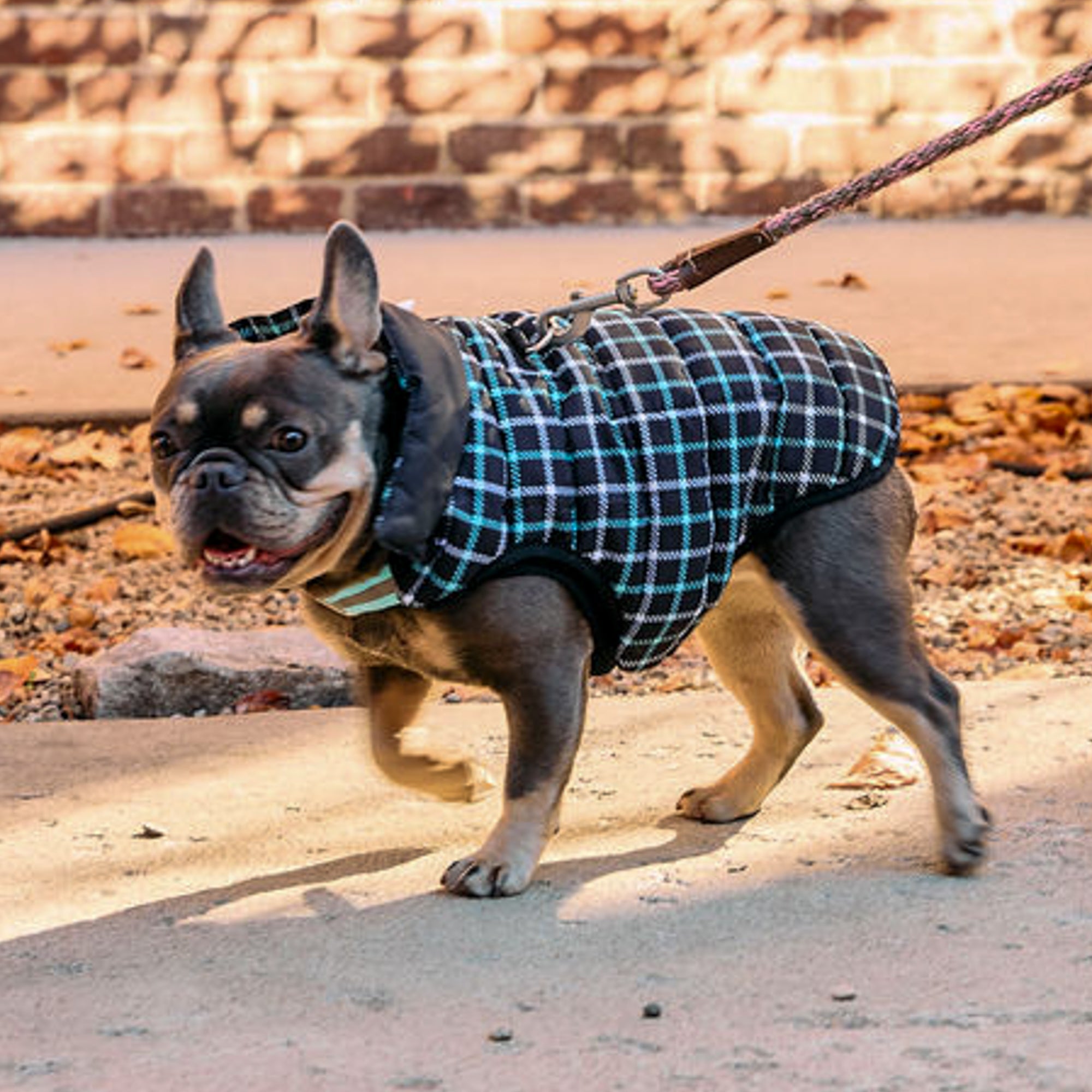 K9 Wear® Starter Kit - Reversible Puffer Jacket