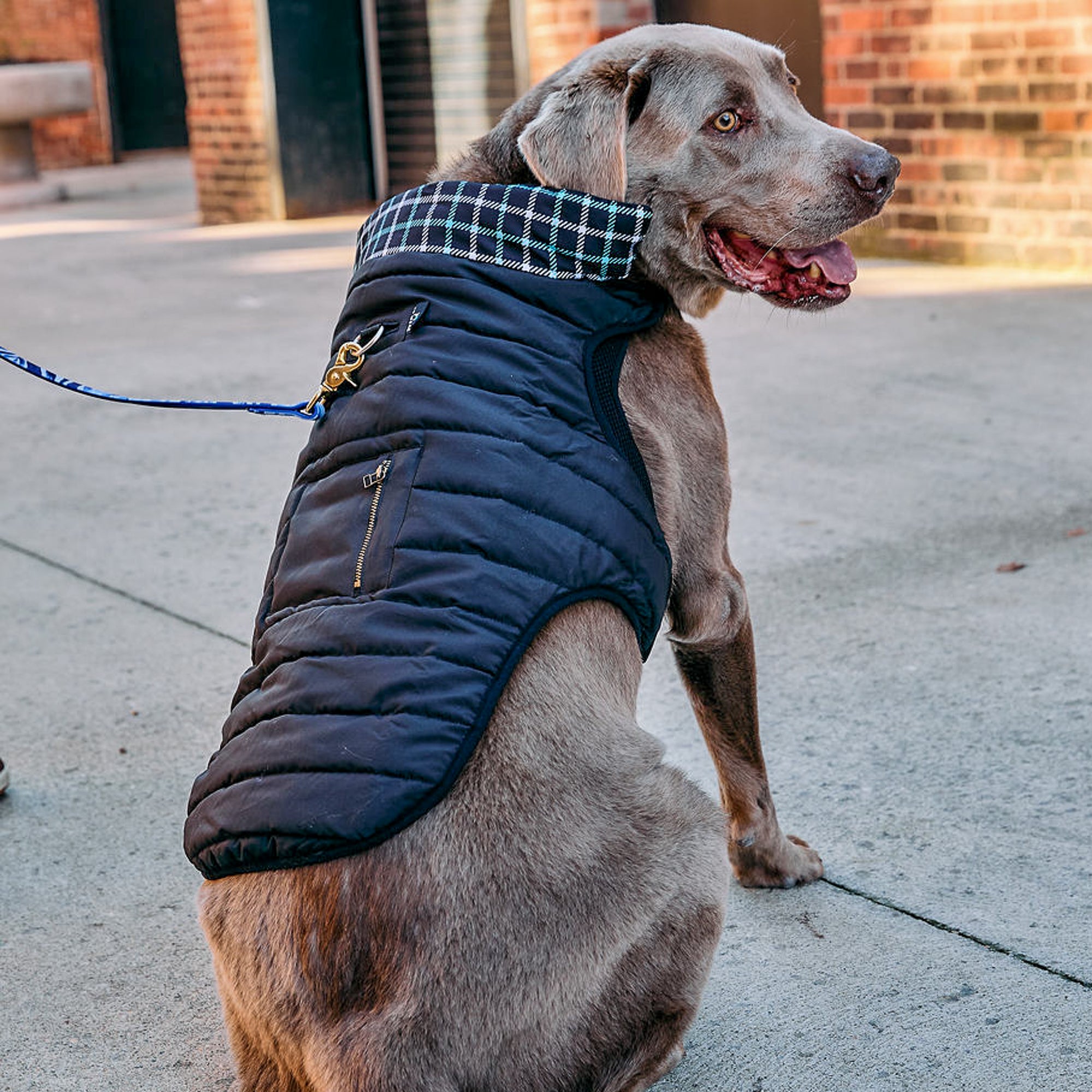 K9 Wear® Starter Kit - Reversible Puffer Jacket