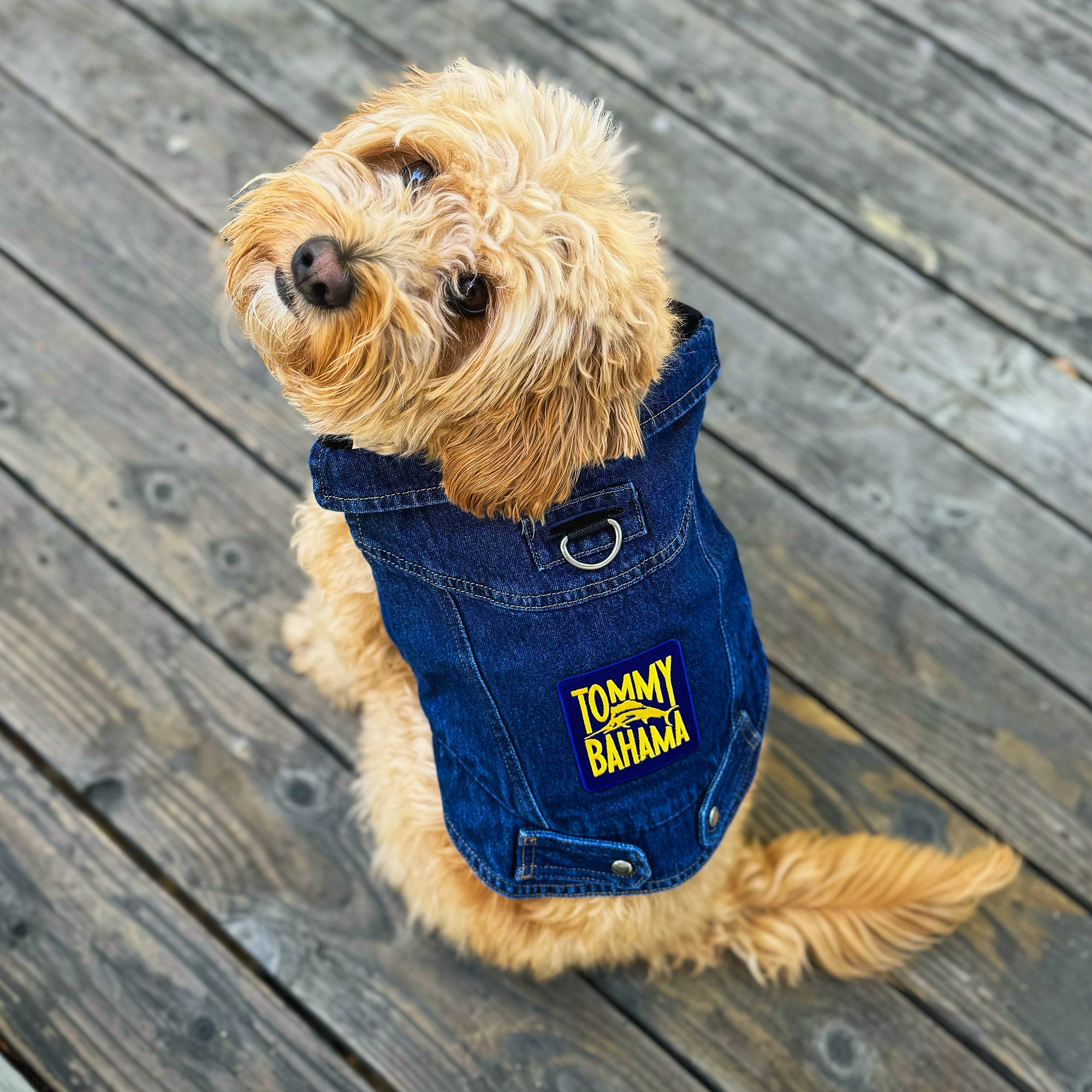 Tommy Bahama® Starter Kit - Denim Jacket