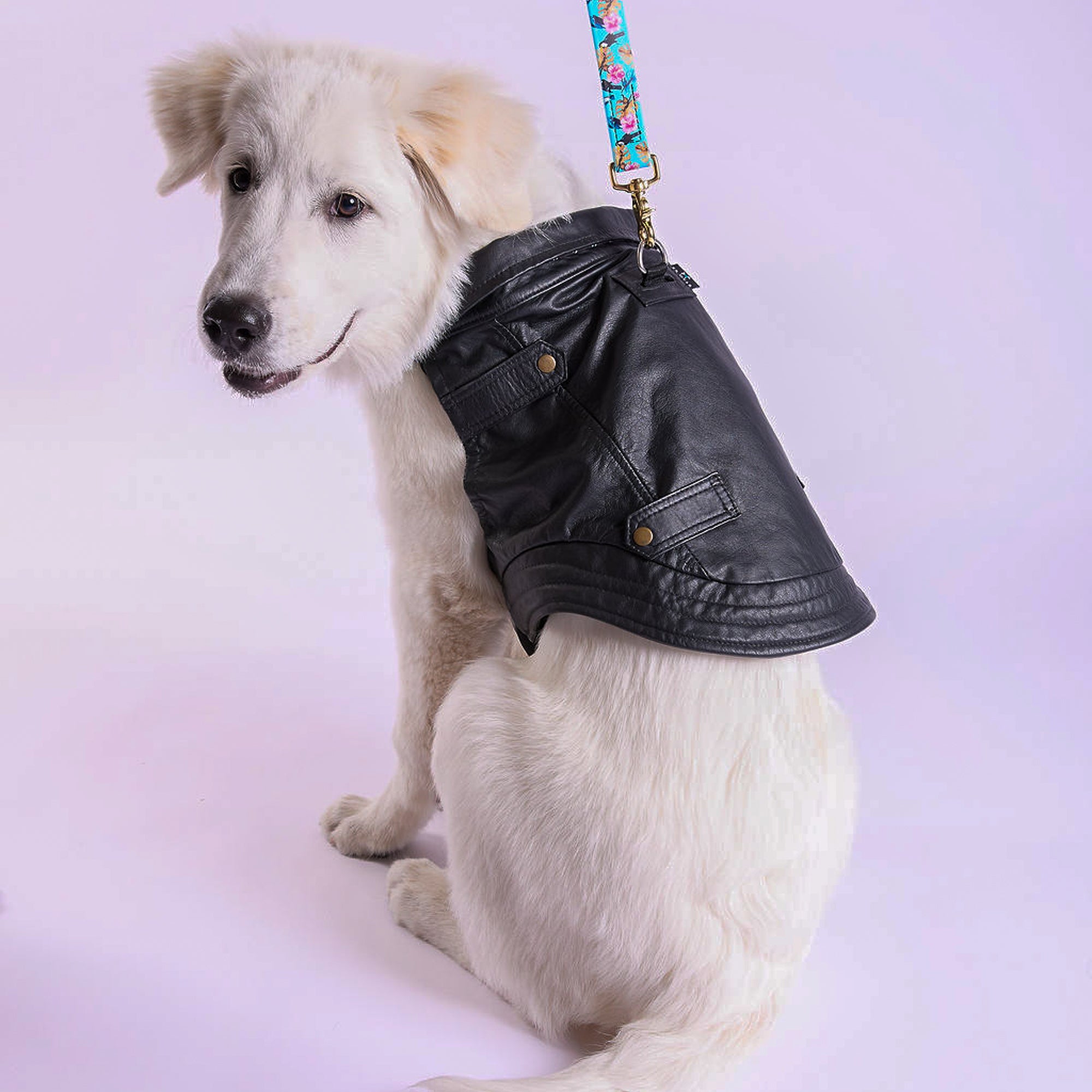 K9 Wear® Starter Kit - Genuine Leather Jacket