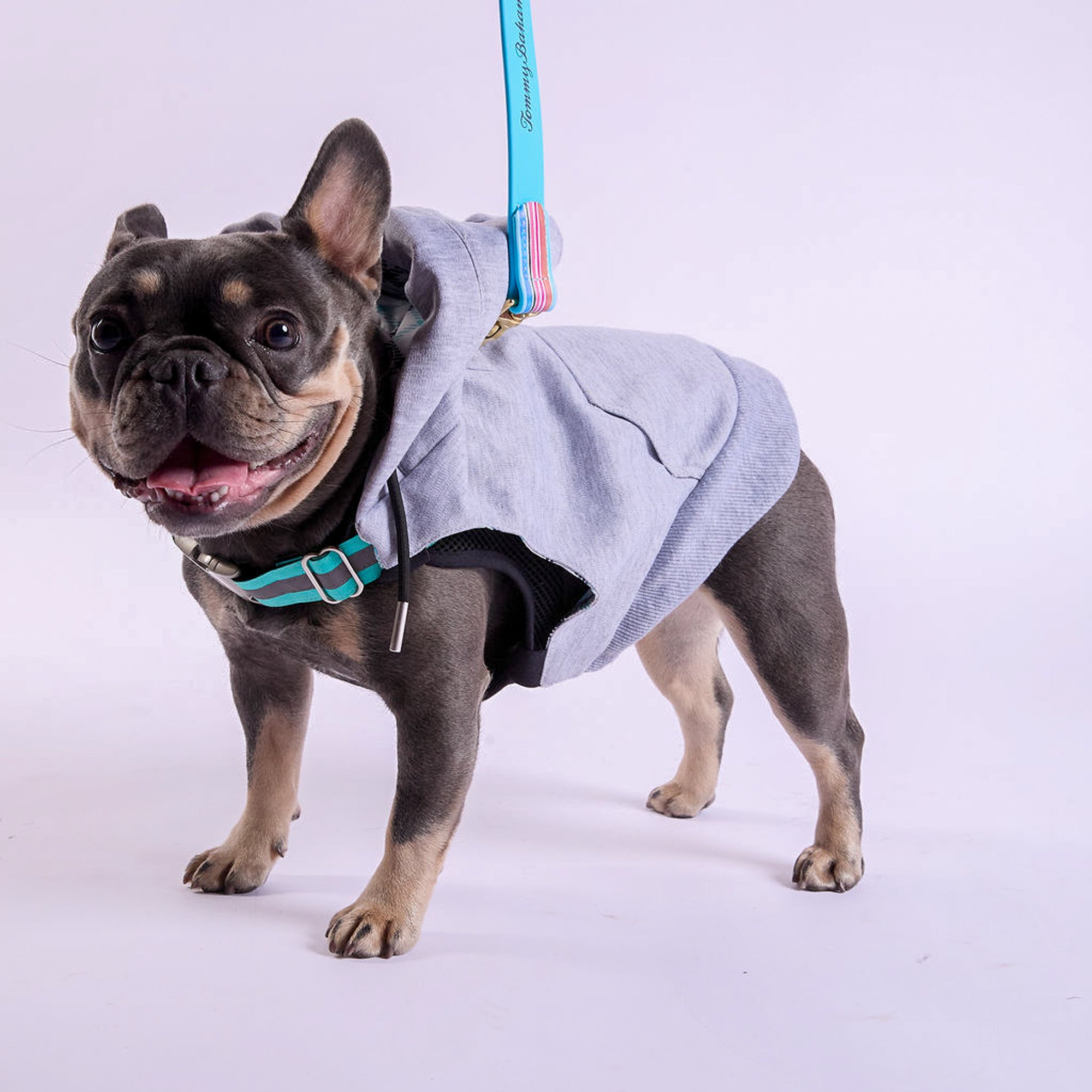 K9 Wear® Starter Kit - Grey Hoodie