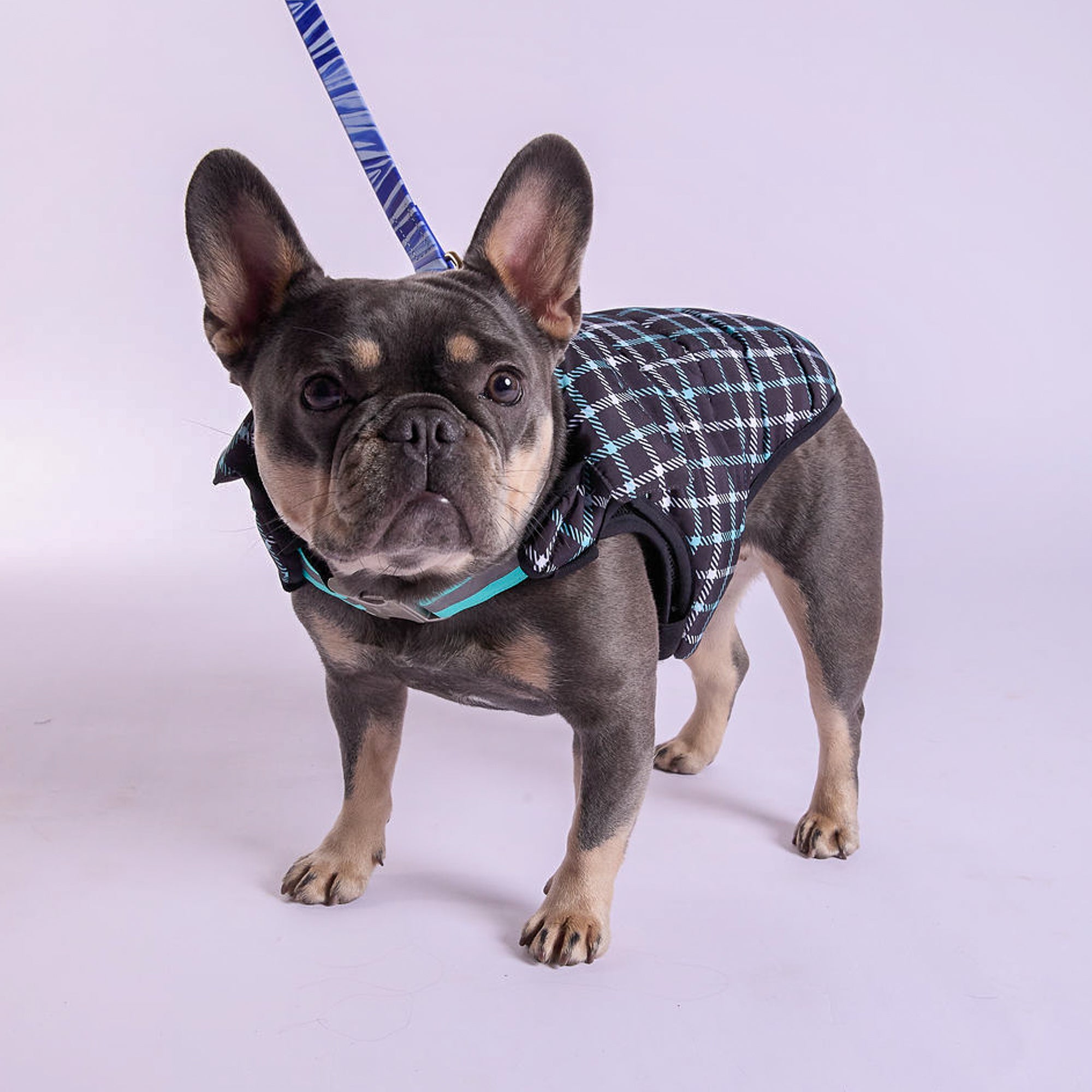 K9 Wear® Starter Kit - Reversible Puffer Jacket