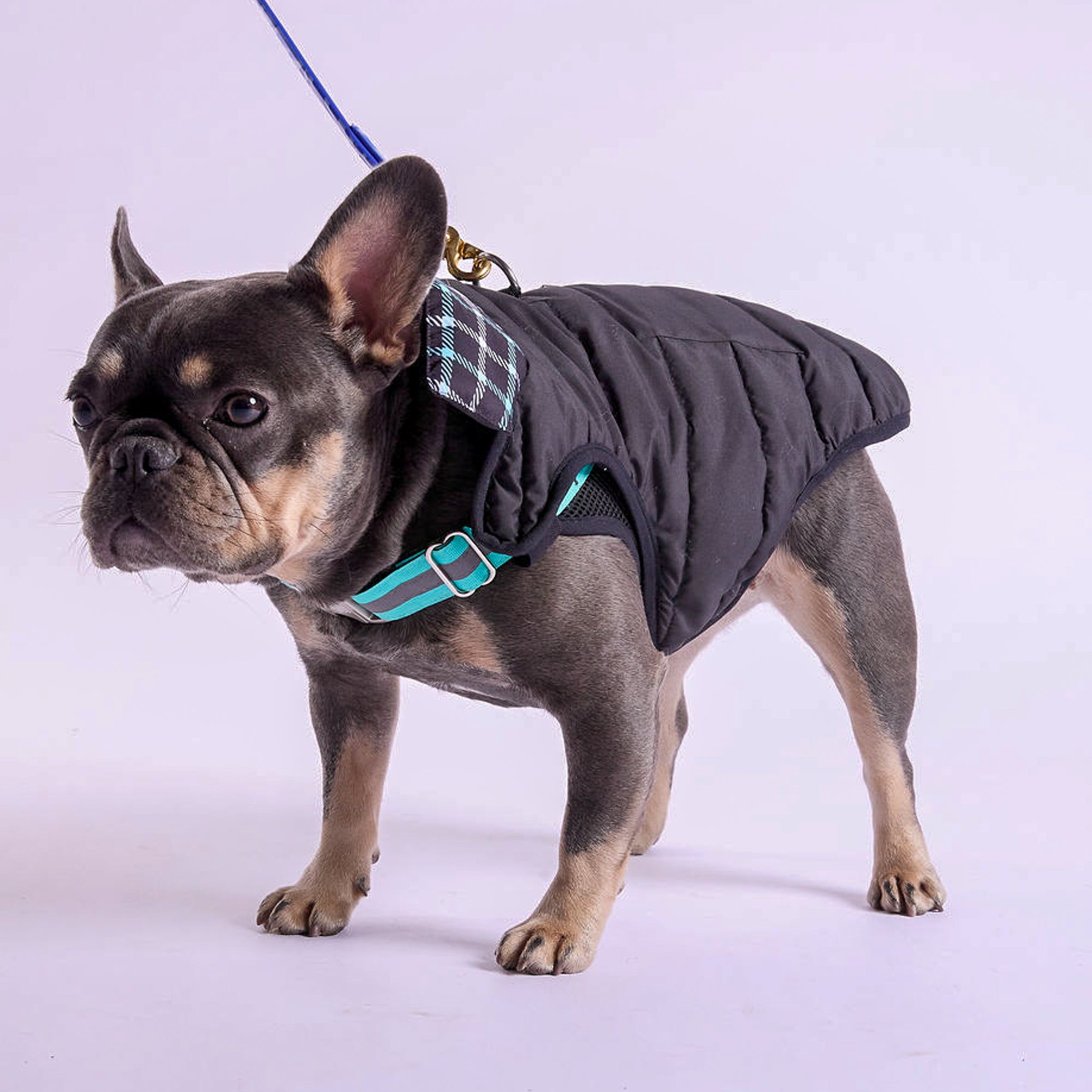 K9 Wear® Starter Kit - Reversible Puffer Jacket