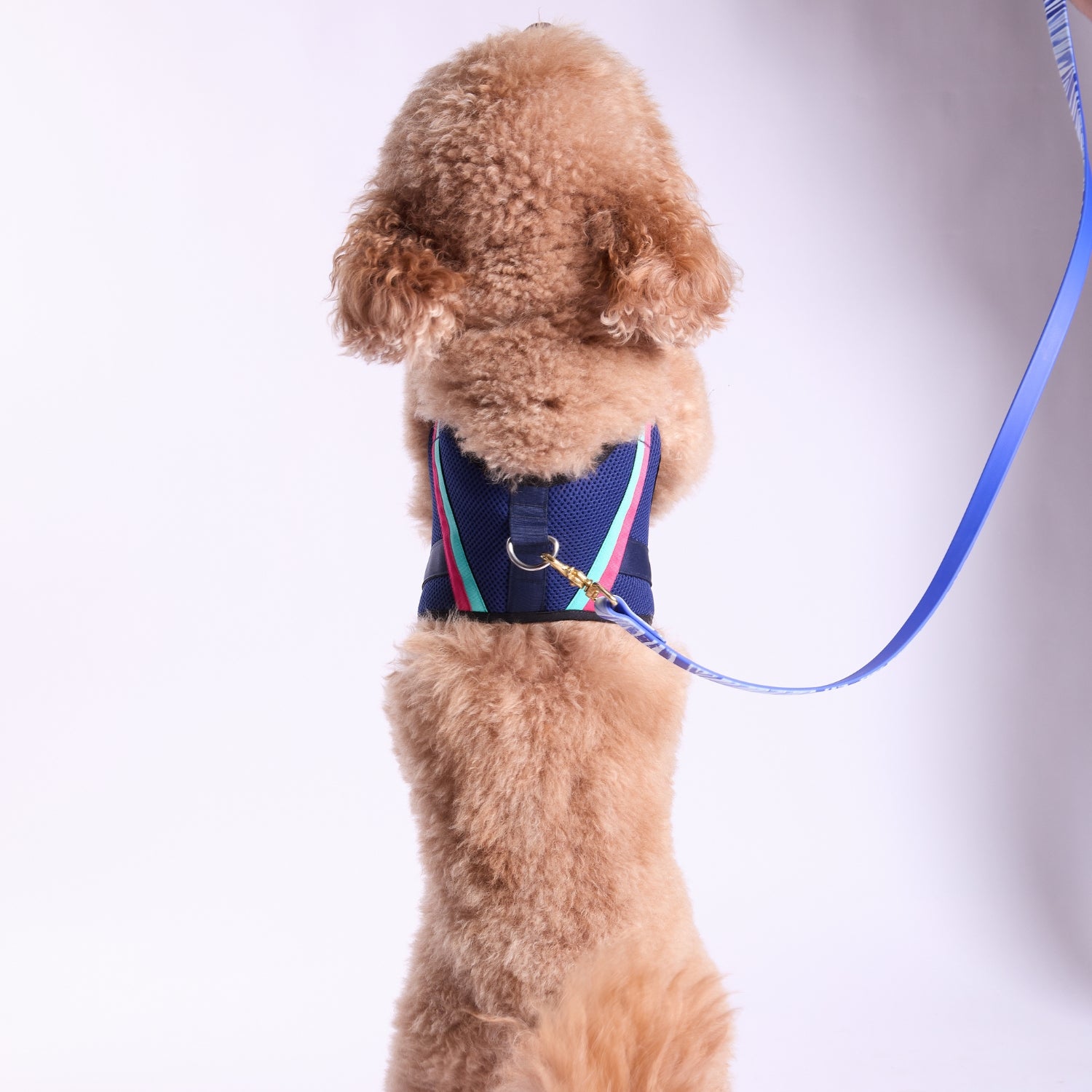 Apparel Harness - Trina Turk®