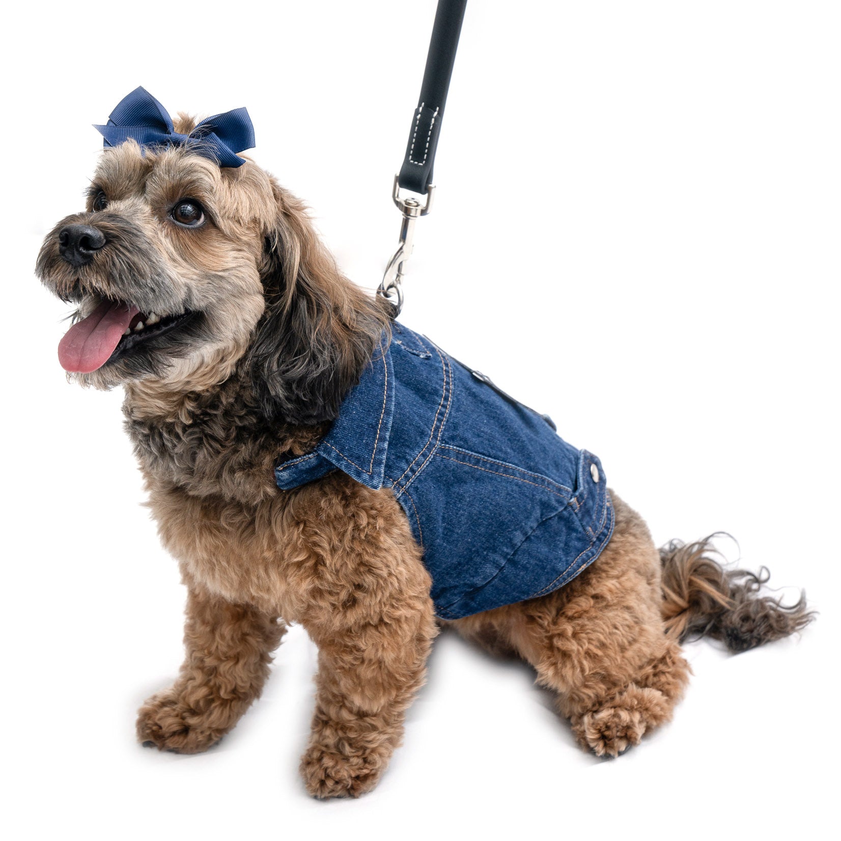 Denim Jacket - K9 Wear®