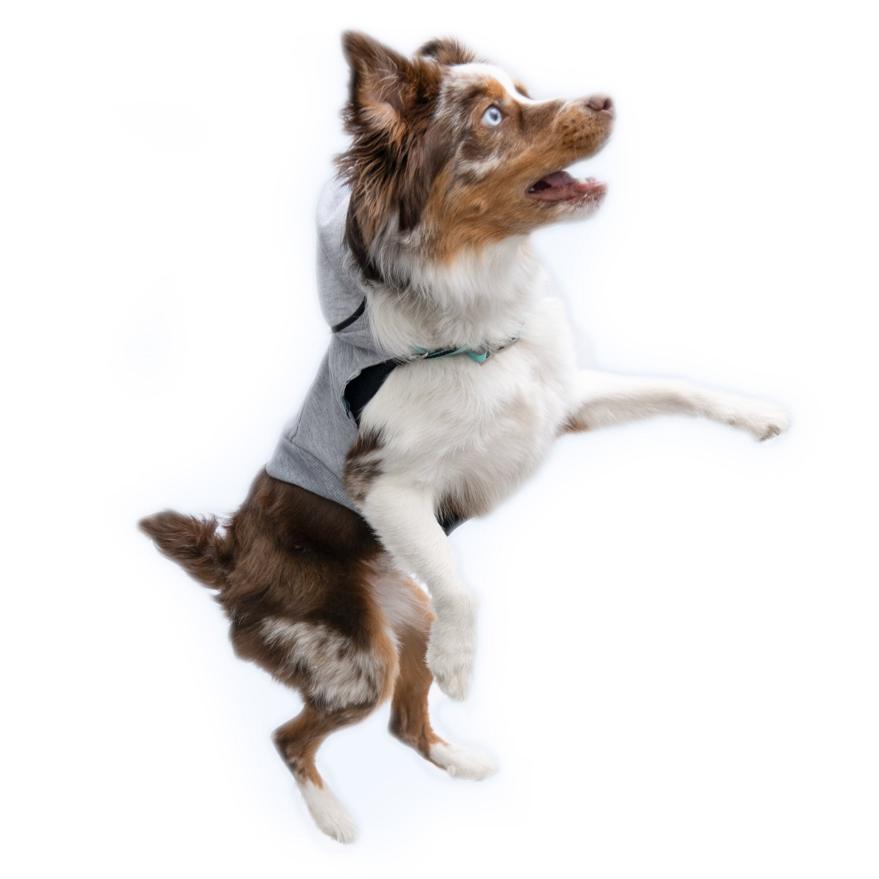 Grey Hoodie - K9 Wear®
