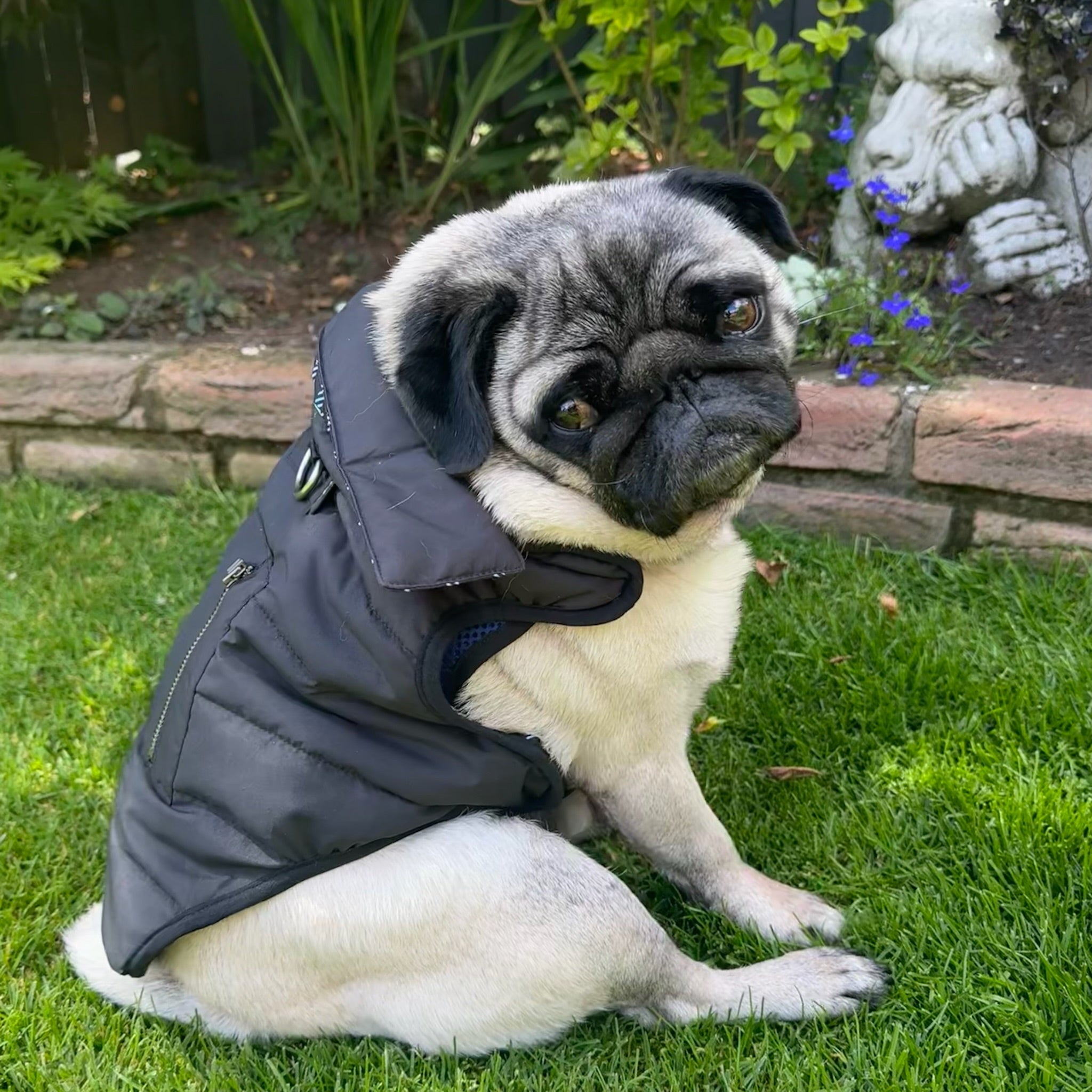 K9 Wear® Starter Kit - Reversible Puffer Jacket