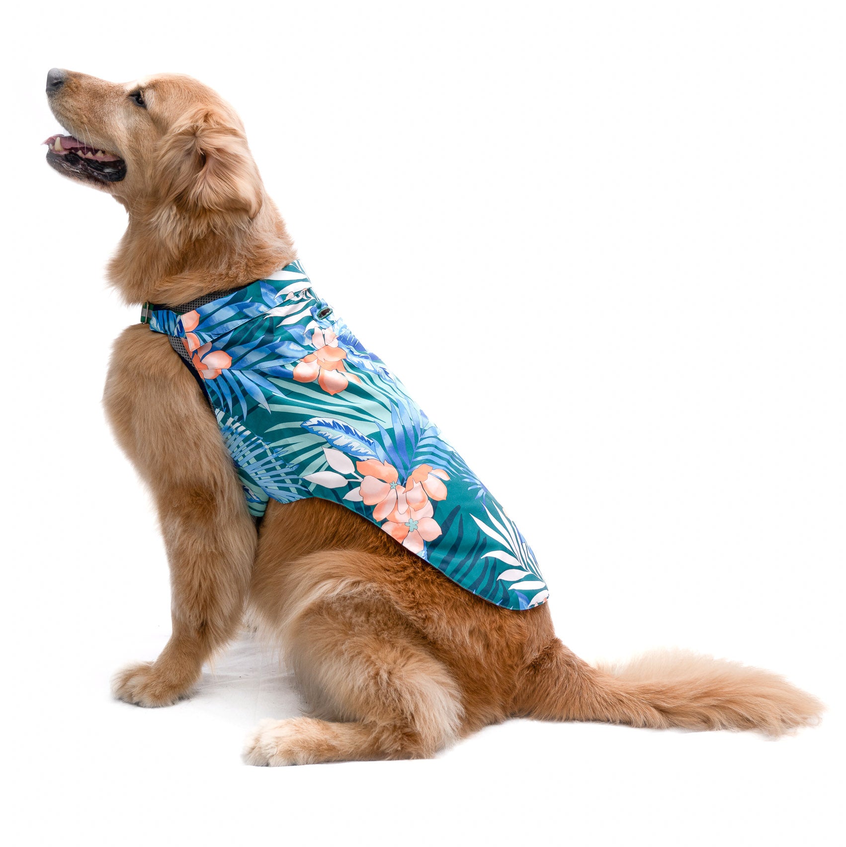 Hawaiian Shirt - Tommy Bahama® - Green
