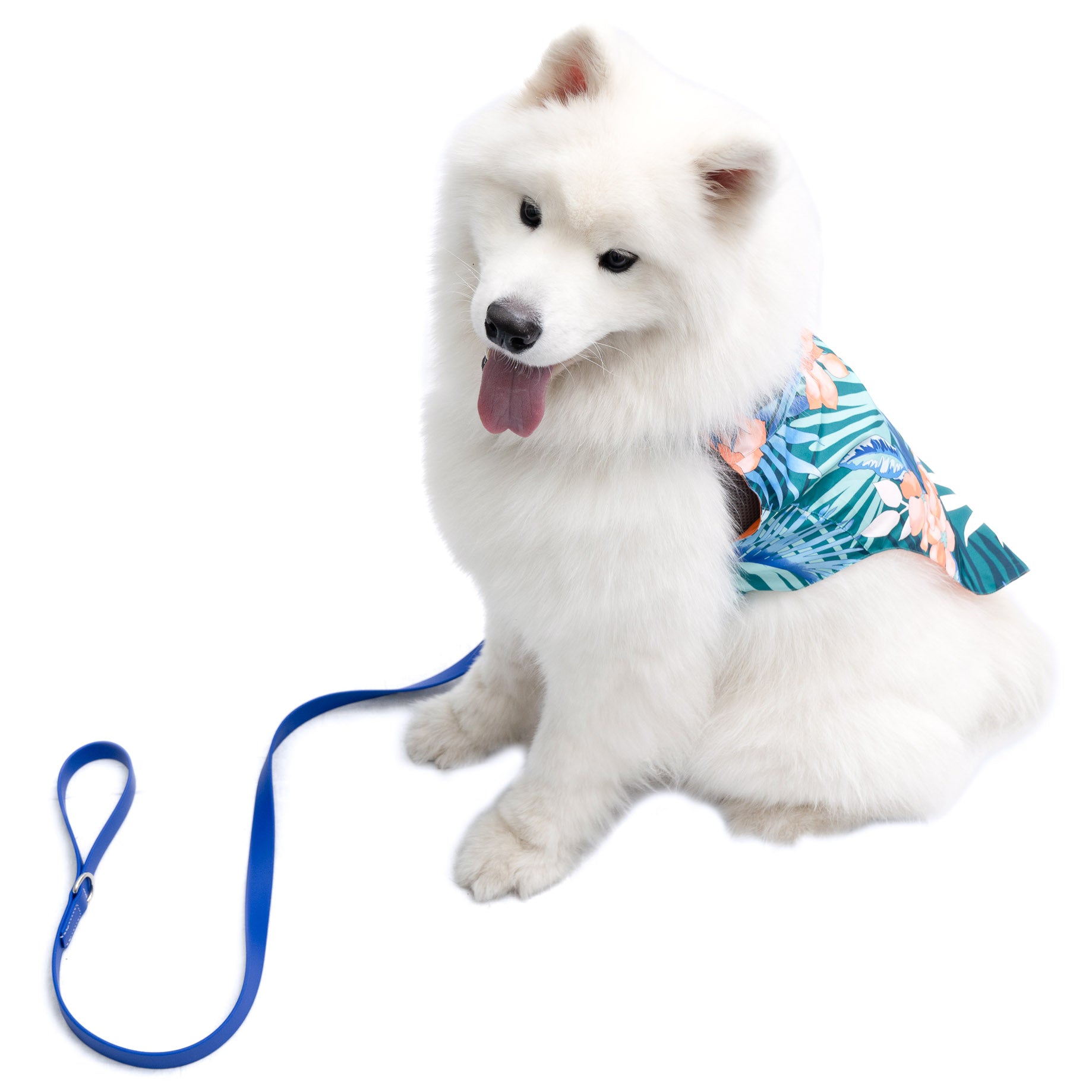 Hawaiian Shirt - Tommy Bahama® - Green