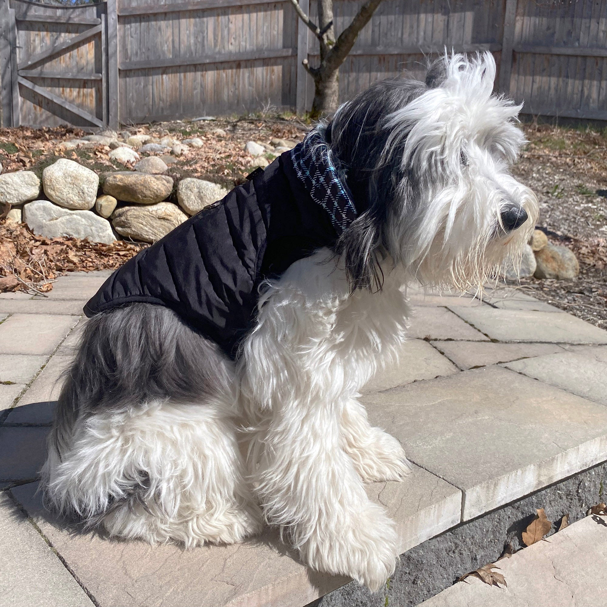 Reversible Puffer Jacket - K9 Wear®