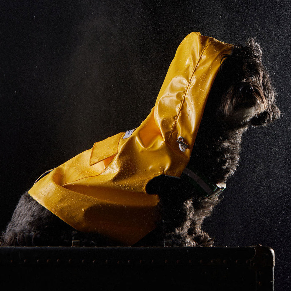 Tommy Bahama® Starter Kit - Raincoat - Yellow
