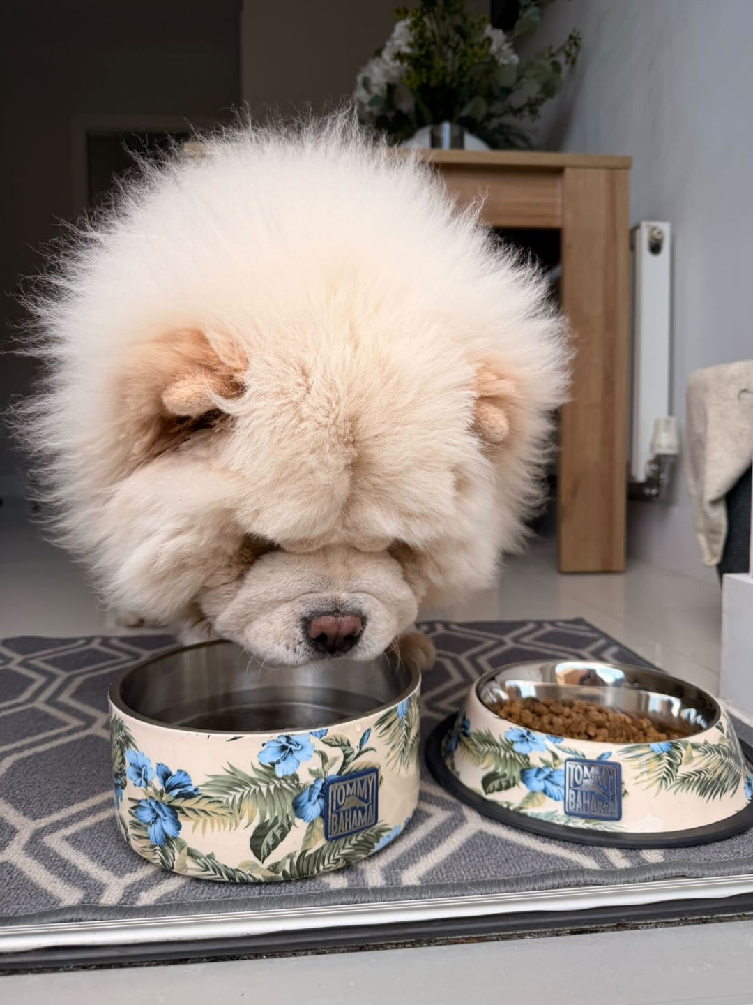 Stainless Steel Dog Bowls