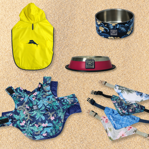 Tommy Bahama Pet Collection