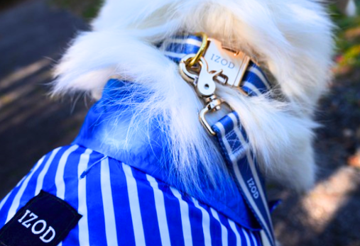Collars, Leashes and Bandanas