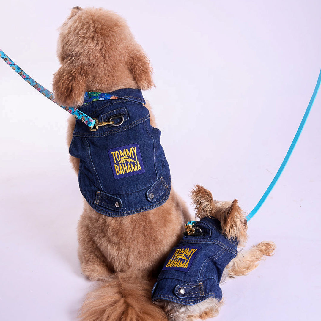 K9 Wear for Tommy Bahama