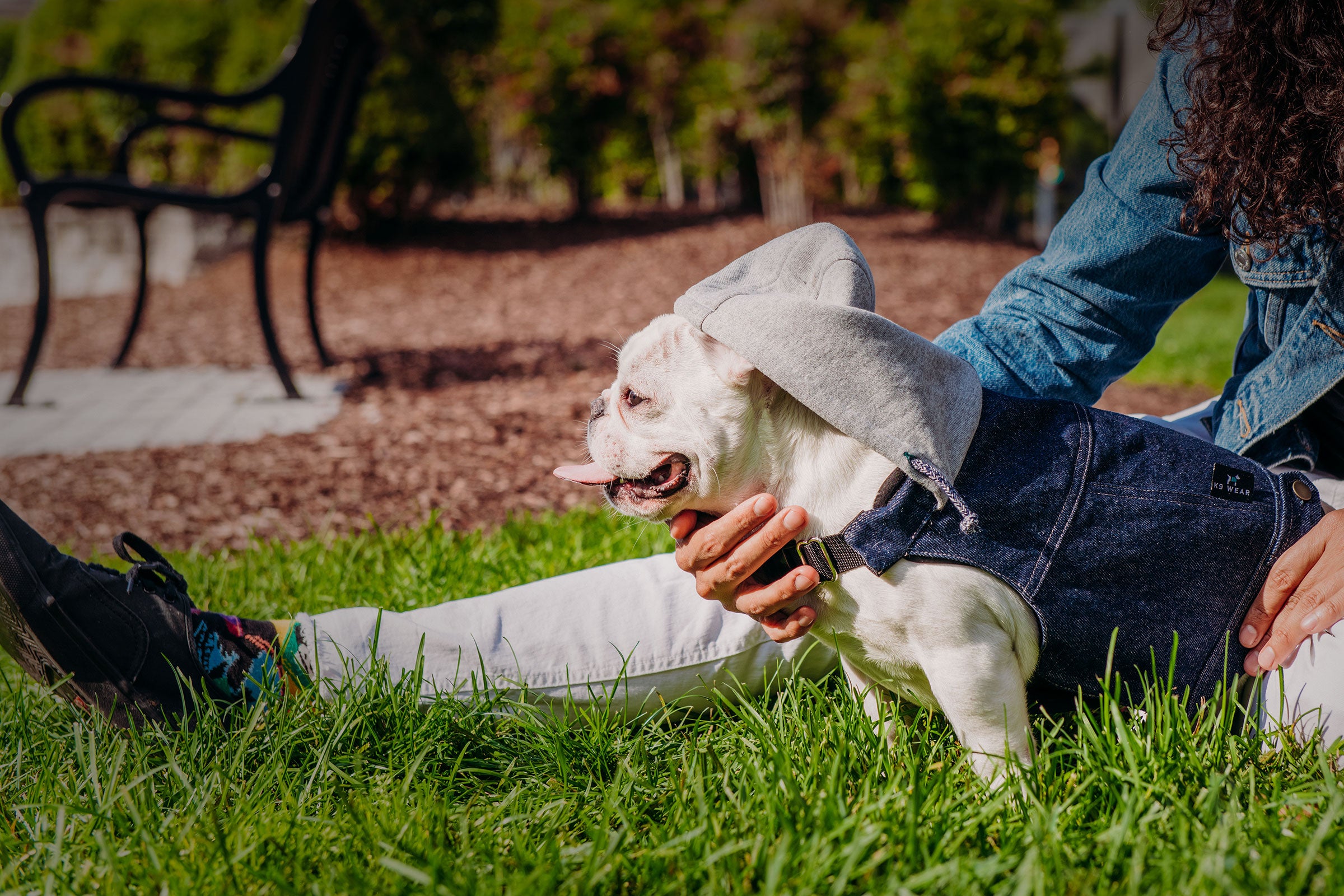 Shop for Dog Lovers