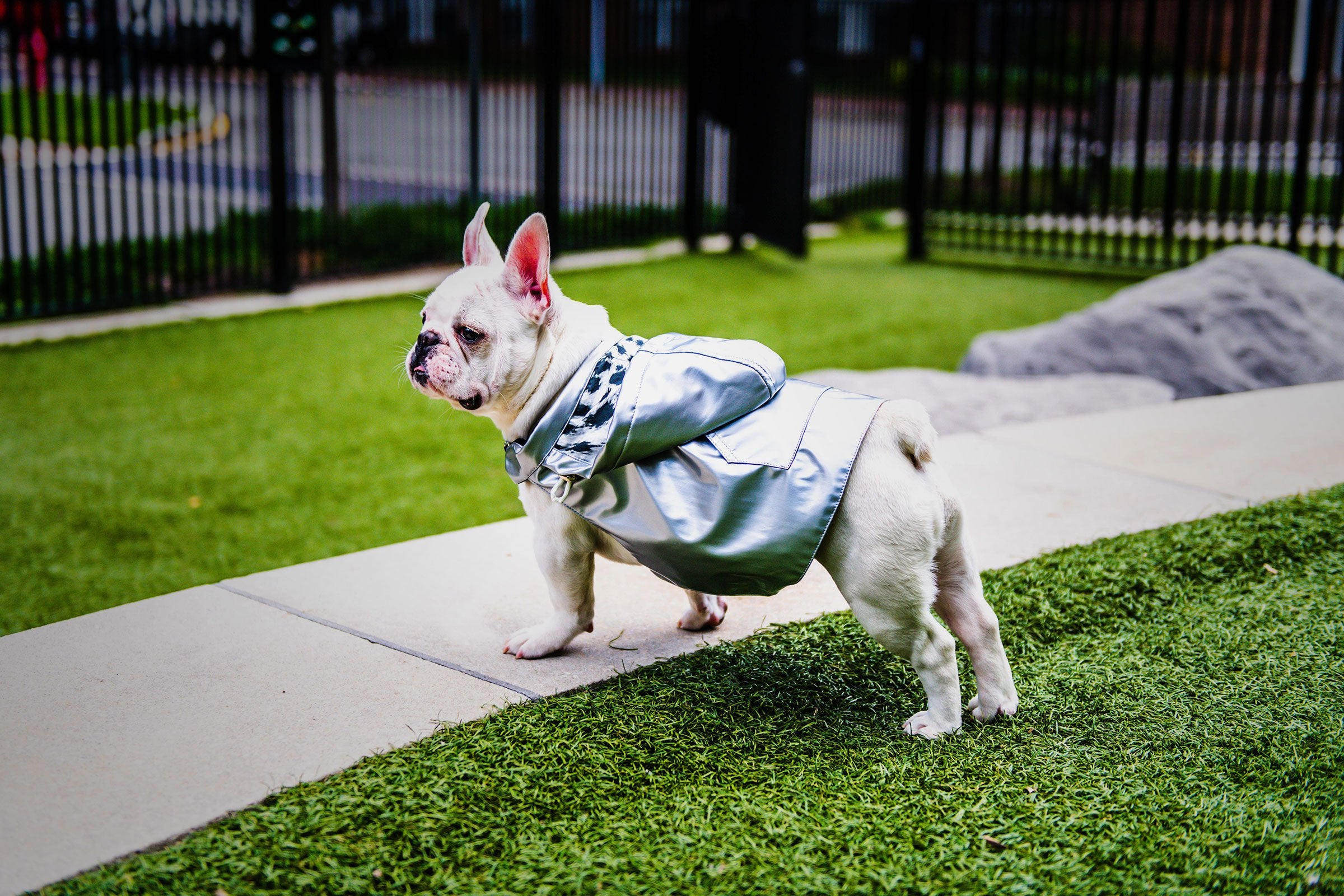 Shop Add-on Dog Outfits