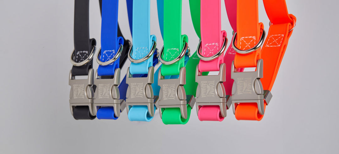 Collars, Leashes and Bandanas