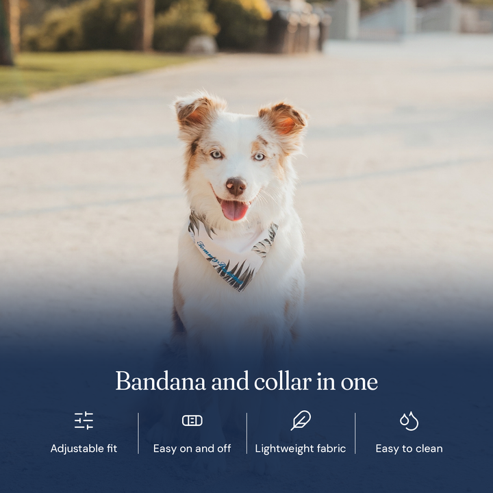 Tommy Bahama Pet - Bandana