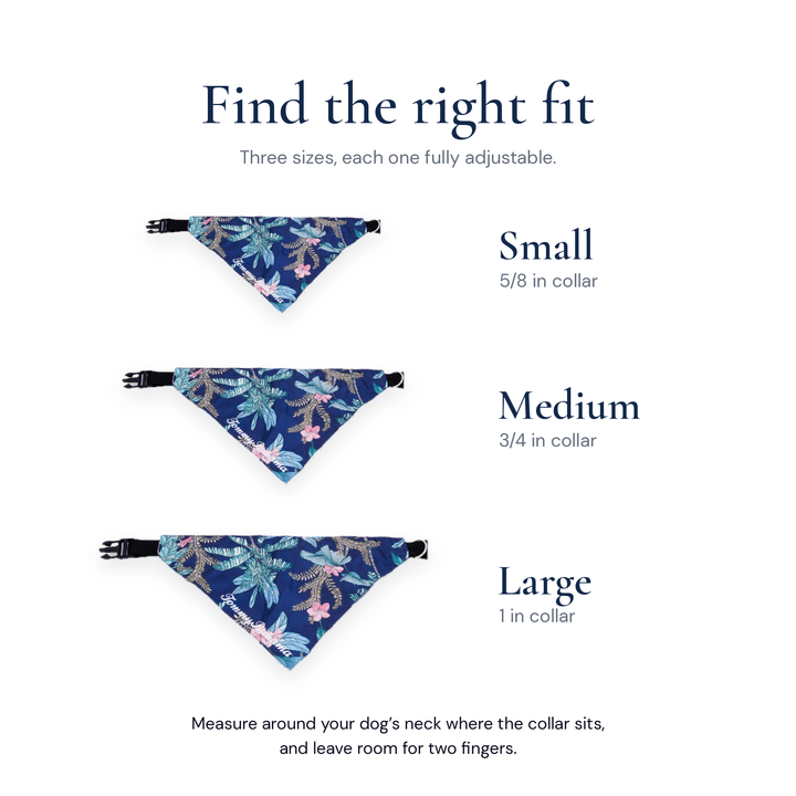 Tommy Bahama Pet - Bandana