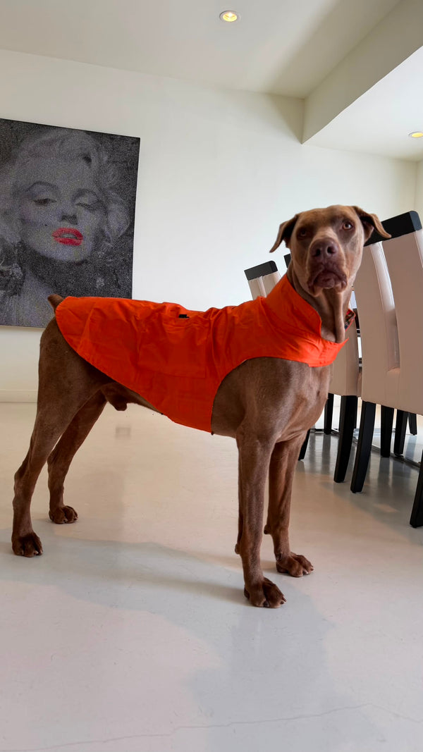 Betty K.
