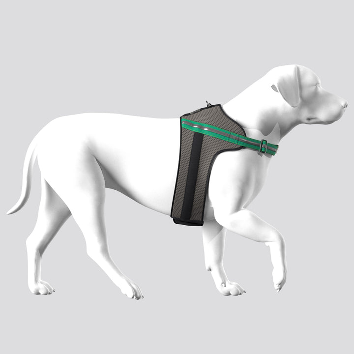 Apparel Harness - Tommy Bahama® - Grey/Green