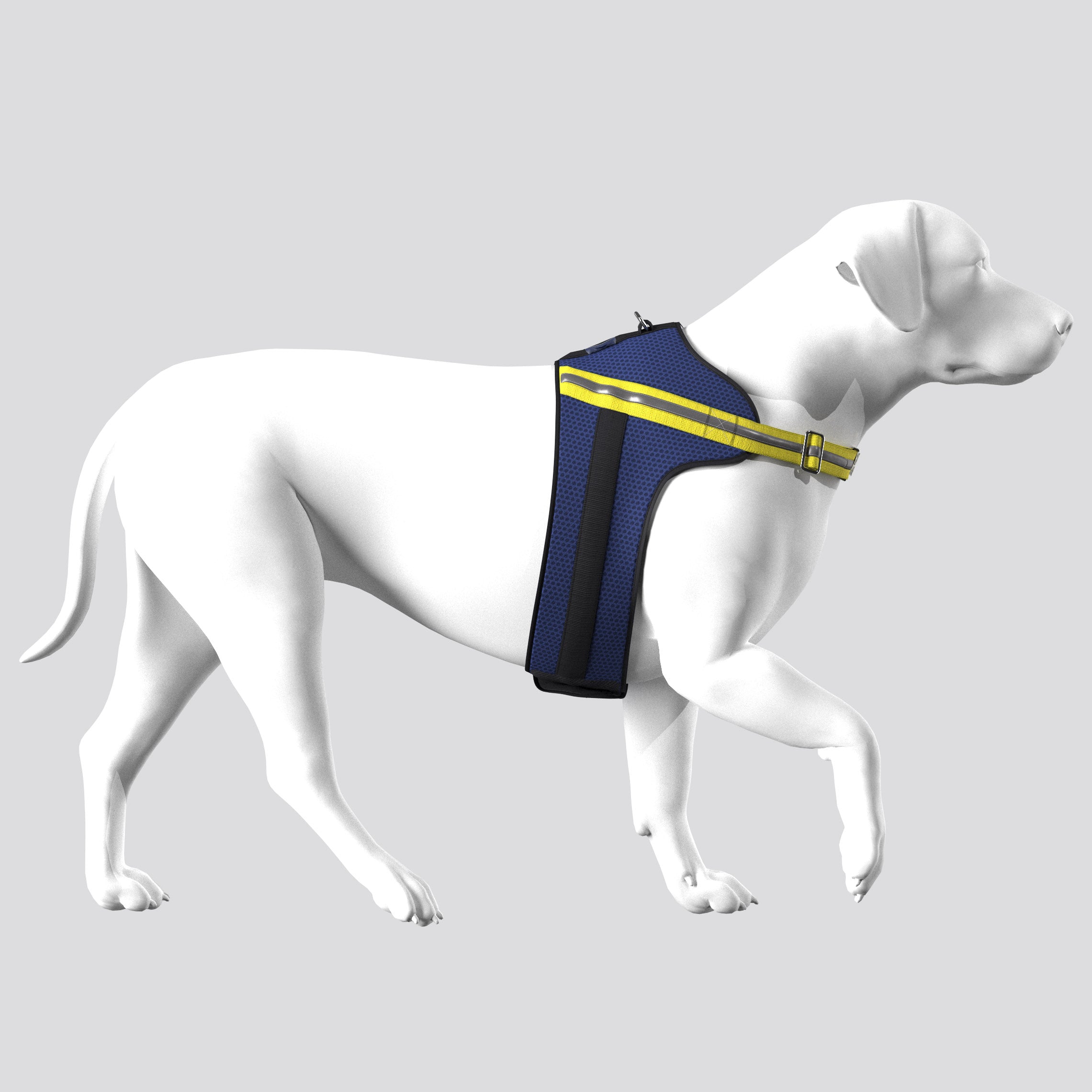 Apparel Harness - Tommy Bahama® - Navy/Yellow