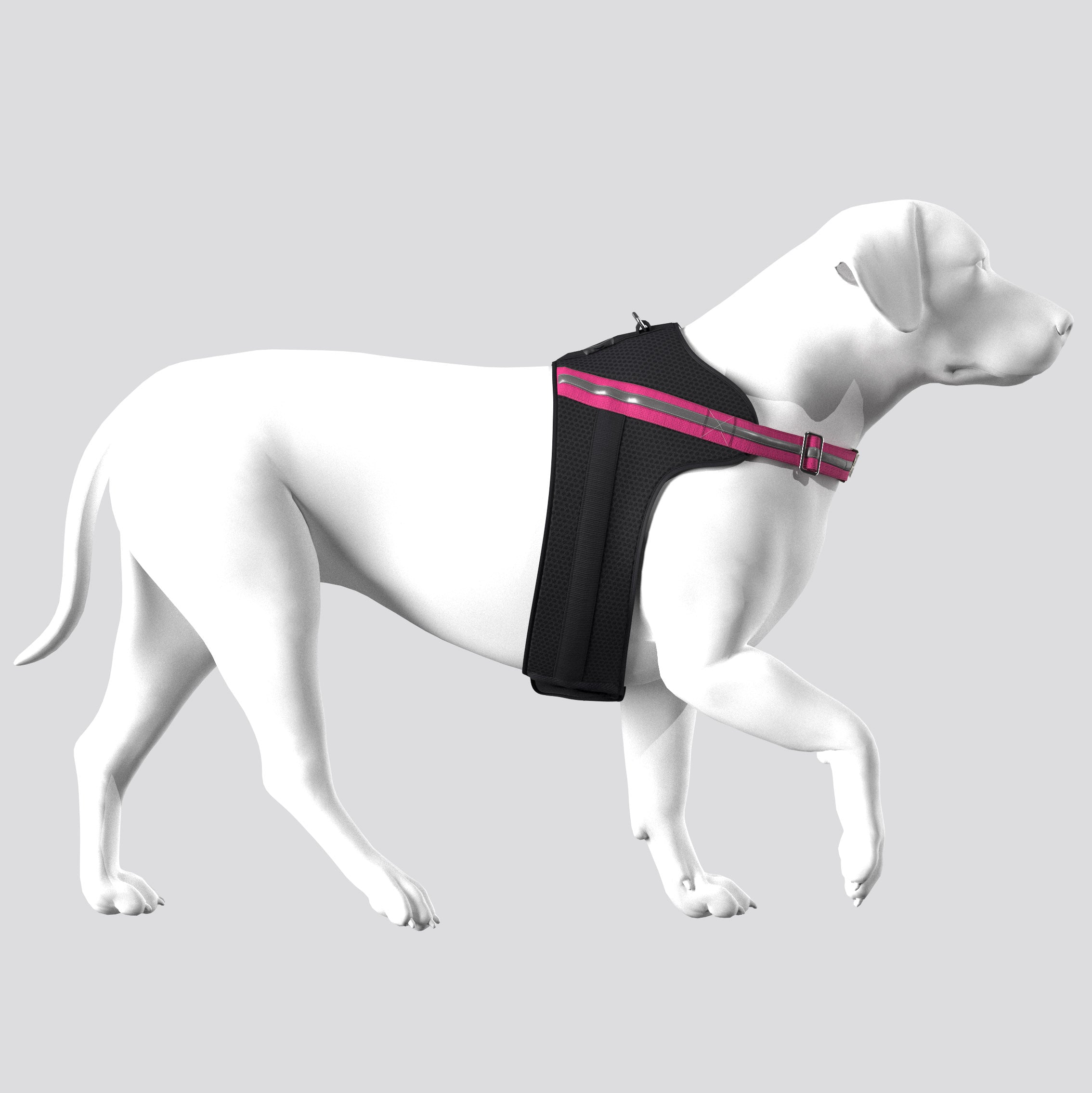 Apparel Harness - Tommy Bahama® - Black/Pink