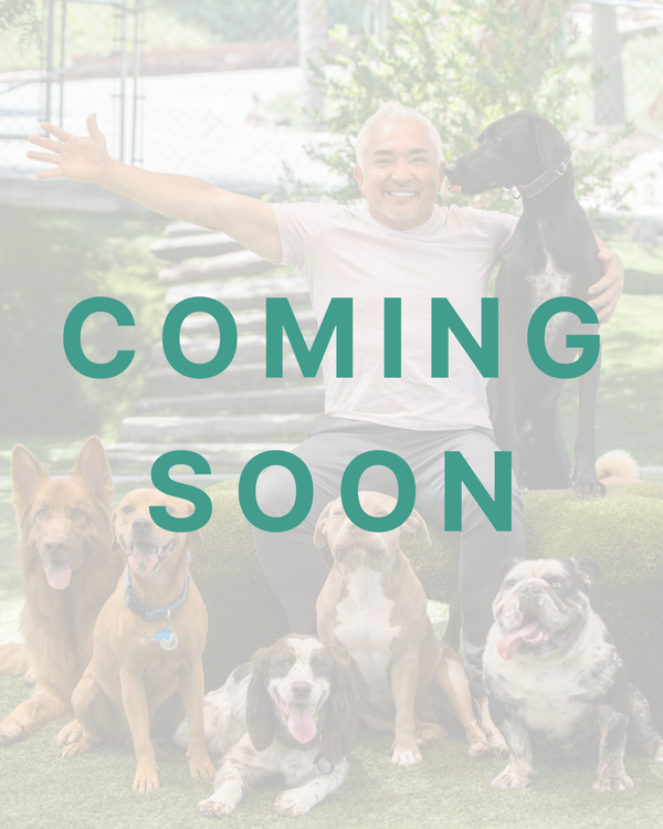 TRL by Cesar Millan