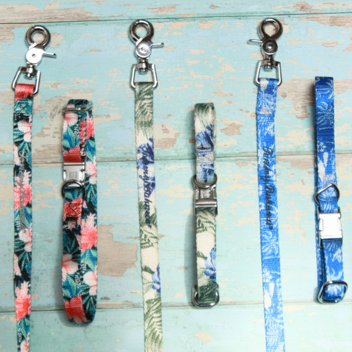 Tommy Bahama Pet - Collar &amp; Leash Set