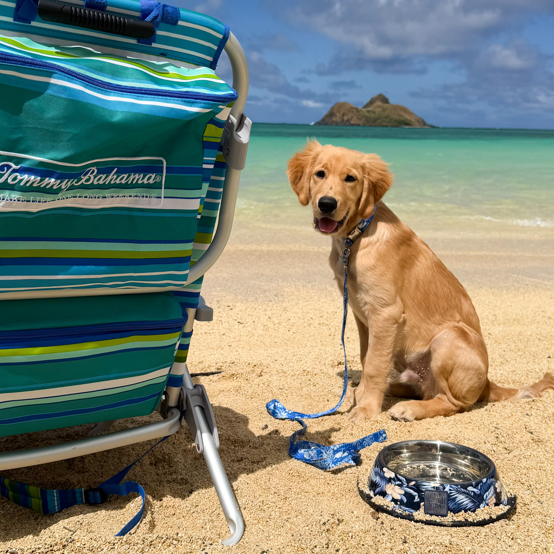 Tommy Bahama Pet - Collar &amp; Leash Set