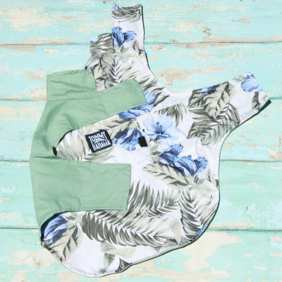 Tommy Bahama Pet - Frandy