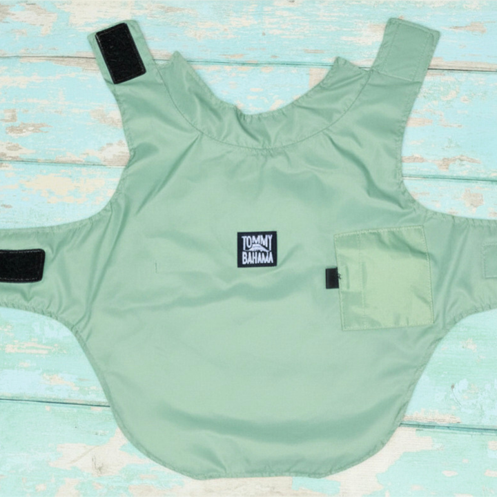 Tommy Bahama Pet - Frandy