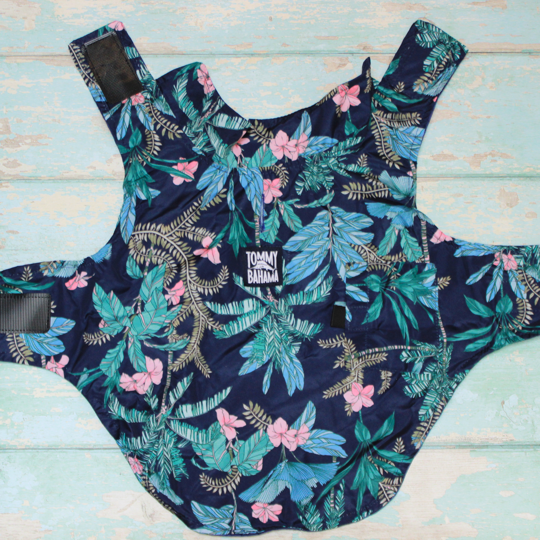 Tommy Bahama Pet - Frandy