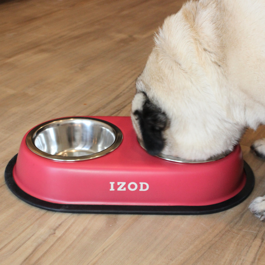 IZOD Pet - Stainless Steel Double Feeder Bowl
