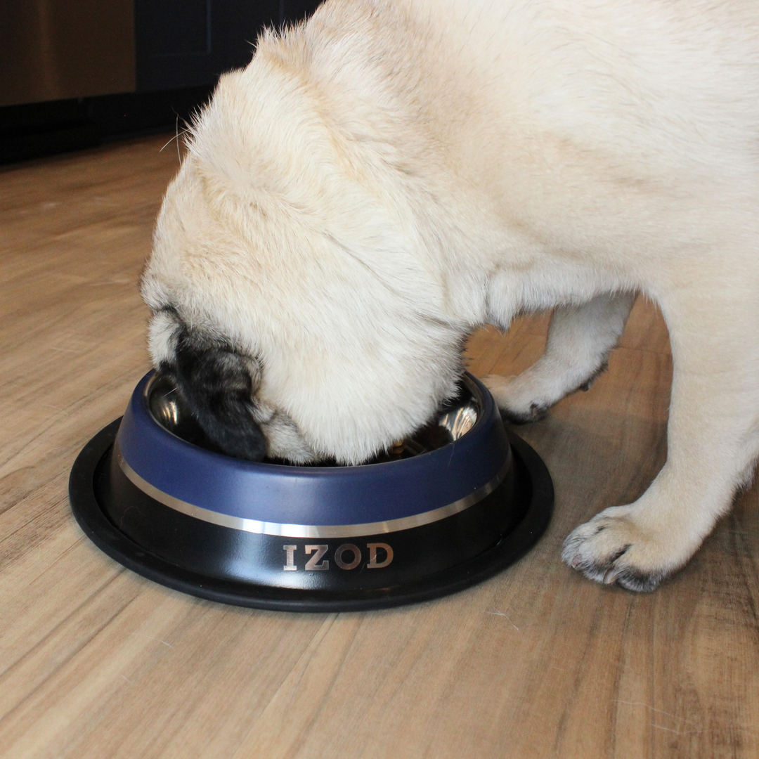 IZOD Pet - Stainless Steel Bowl
