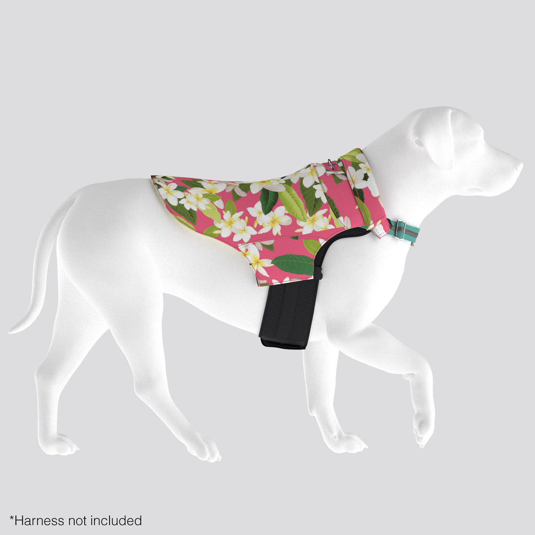 Tommy Bahama® Starter Kit - Hawaiian Shirt - Pink