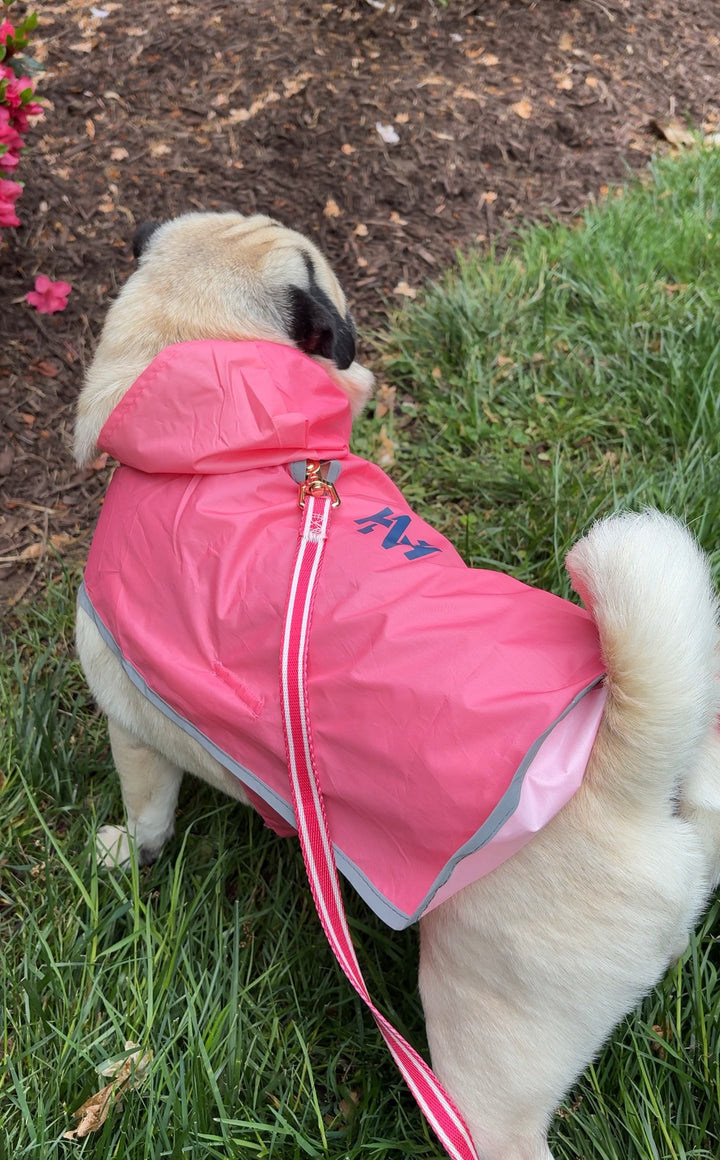 IZOD Pet - Packable Raincoat