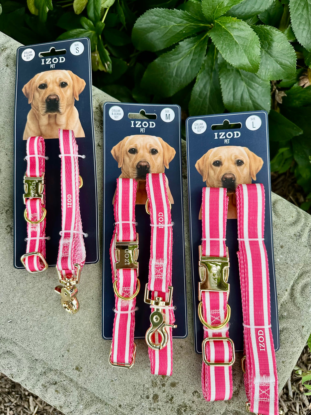 IZOD Pet - Collar &amp; Leash Set