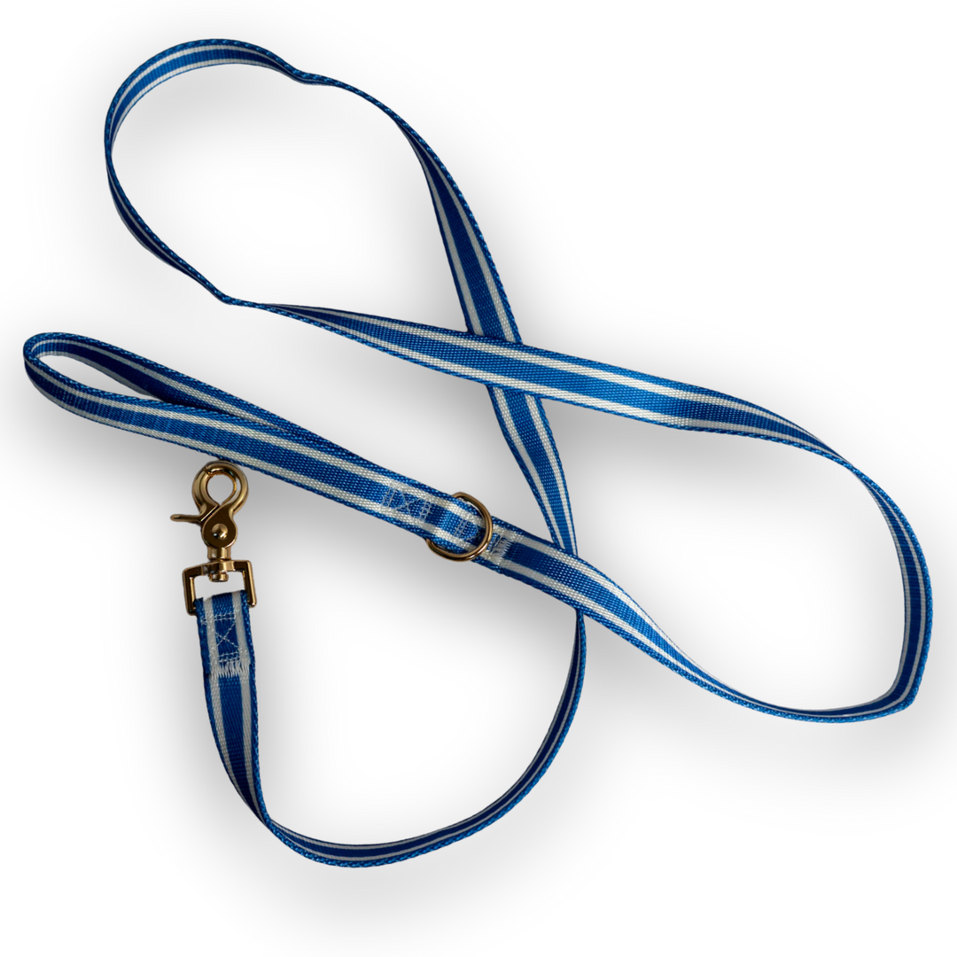 IZOD Pet - Collar &amp; Leash Set