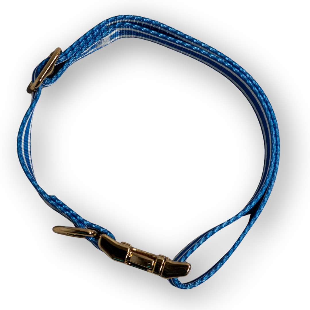 IZOD Pet - Collar &amp; Leash Set