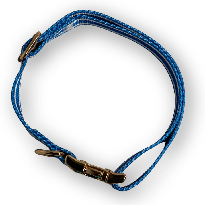 IZOD Pet - Collar &amp; Leash Set