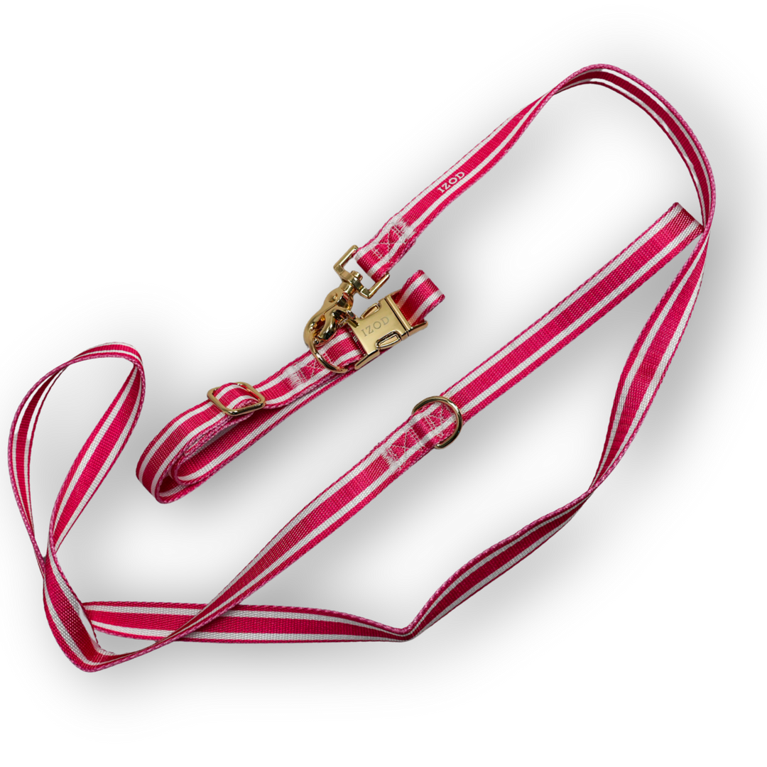 IZOD Pet - Collar &amp; Leash Set
