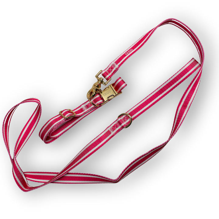 IZOD Pet - Collar &amp; Leash Set