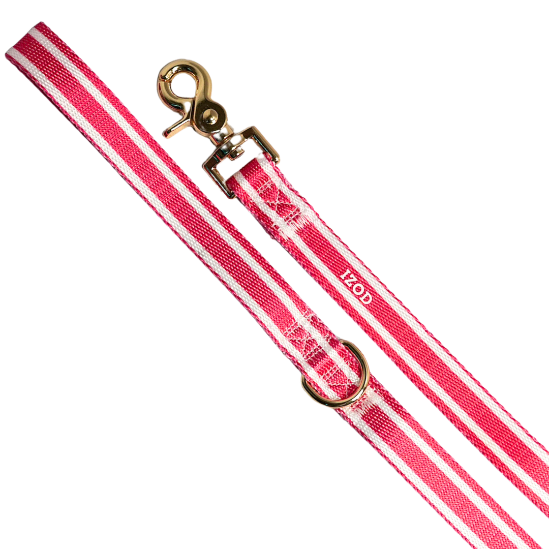 IZOD Pet - Collar &amp; Leash Set