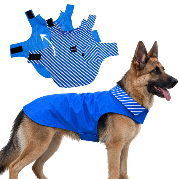 IZOD Pet - Frandy