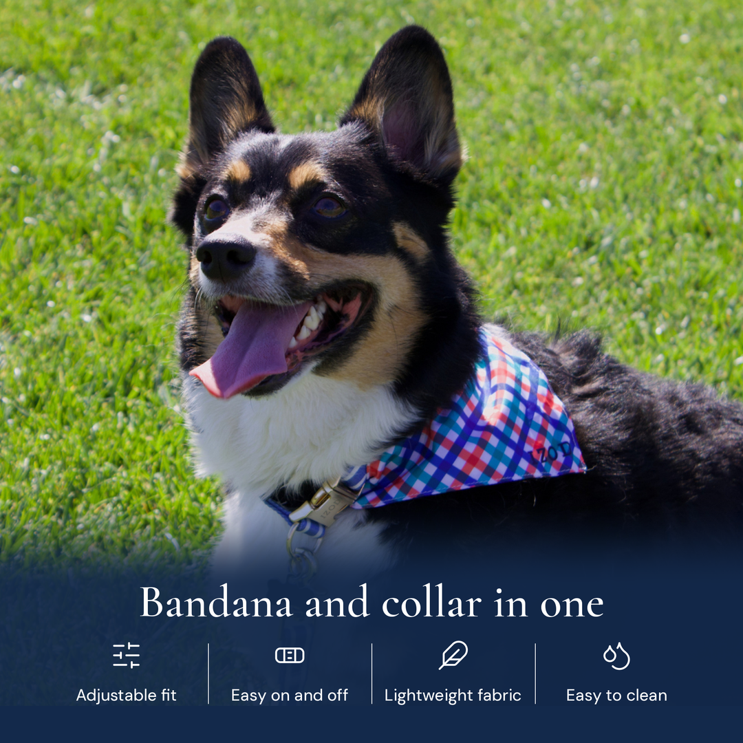 IZOD Pet - Bandana