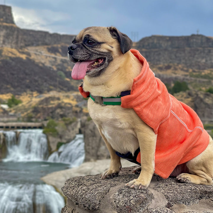 Tommy Bahama® Starter Kit - Quarter Zip - Orange